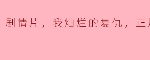 剧情片，我灿烂的复仇，正片，高清版