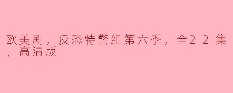 欧美剧，反恐特警组第六季，全22集，高清版