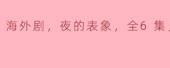海外剧，夜的表象，全6集，高清版