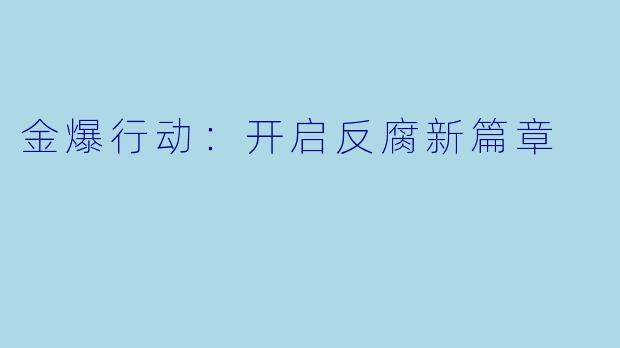 金爆行动：开启反腐新篇章