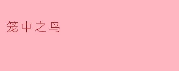 笼中之鸟