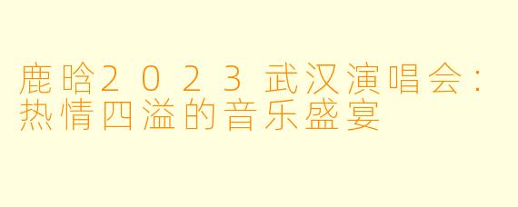 鹿晗2023武汉演唱会：热情四溢的音乐盛宴