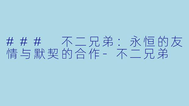 ### 不二兄弟：永恒的友情与默契的合作-不二兄弟