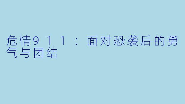 危情911：面对恐袭后的勇气与团结