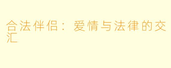 合法伴侣：爱情与法律的交汇