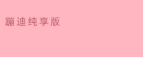 蹦迪纯享版