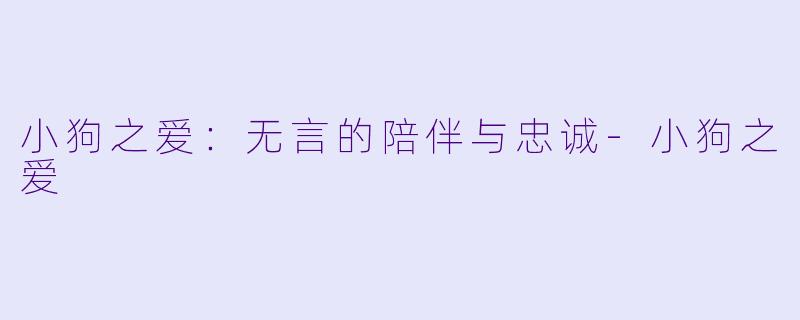 小狗之爱：无言的陪伴与忠诚-小狗之爱