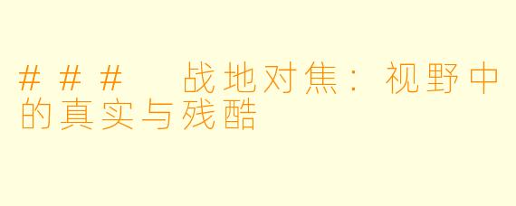 ### 战地对焦：视野中的真实与残酷
