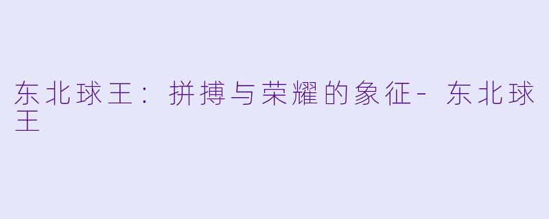 东北球王：拼搏与荣耀的象征-东北球王