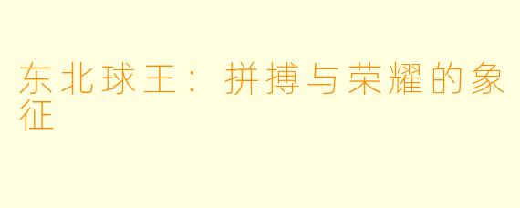 东北球王：拼搏与荣耀的象征