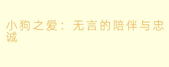 小狗之爱：无言的陪伴与忠诚