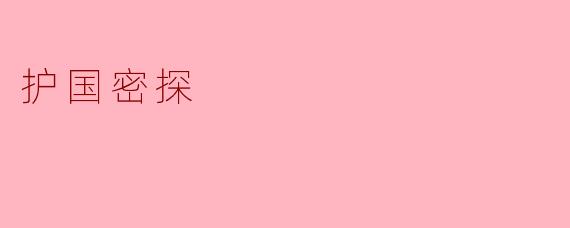 护国密探