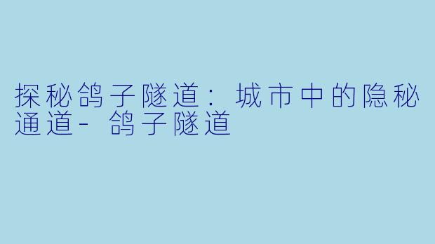 探秘鸽子隧道：城市中的隐秘通道-鸽子隧道