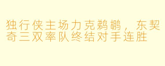 独行侠主场力克鹈鹕，东契奇三双率队终结对手连胜