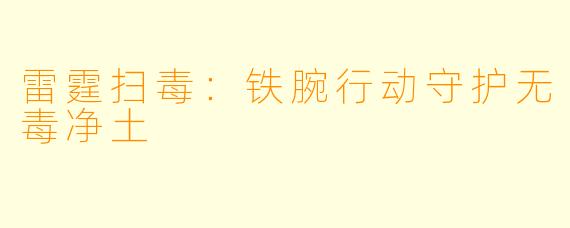 雷霆扫毒：铁腕行动守护无毒净土