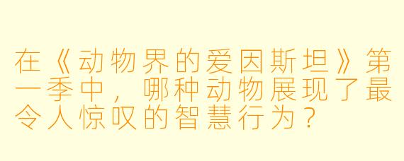 在《动物界的爱因斯坦》第一季中,哪种动物展现了最令人惊叹的智慧行为?