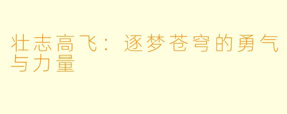 壮志高飞:逐梦苍穹的勇气与力量