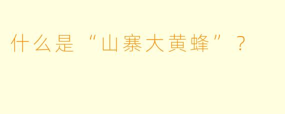 什么是“山寨大黄蜂”？