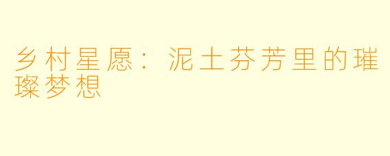 乡村星愿：泥土芬芳里的璀璨梦想