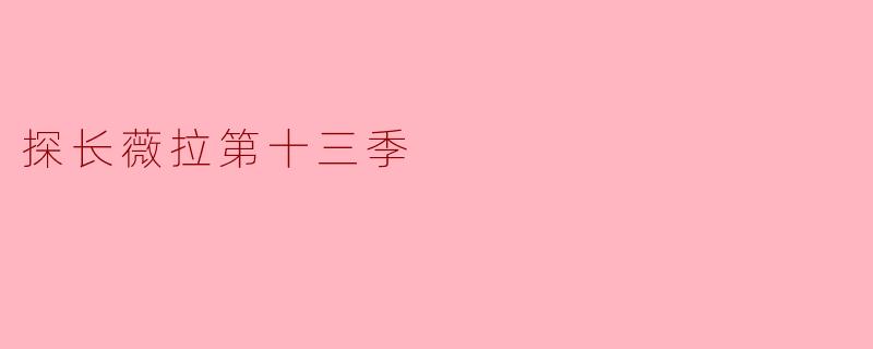 探长薇拉第十三季