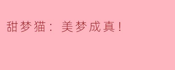 甜梦猫：美梦成真！