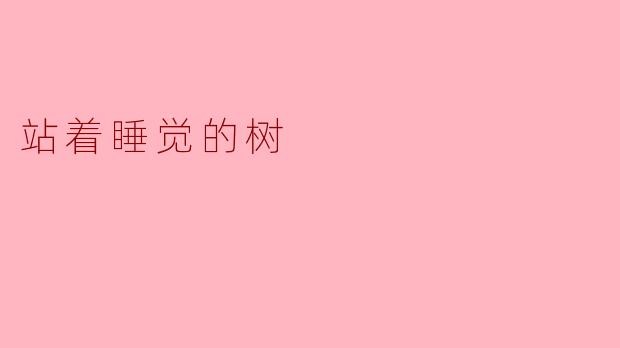 站着睡觉的树
