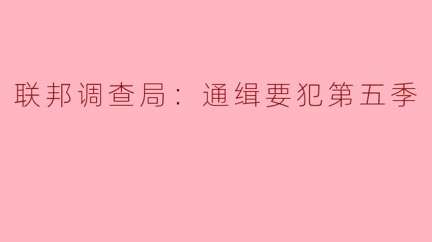 《联邦调查局：通缉要犯》第五季：高能追捕与人性博弈的巅峰回归