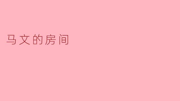 马文的房间