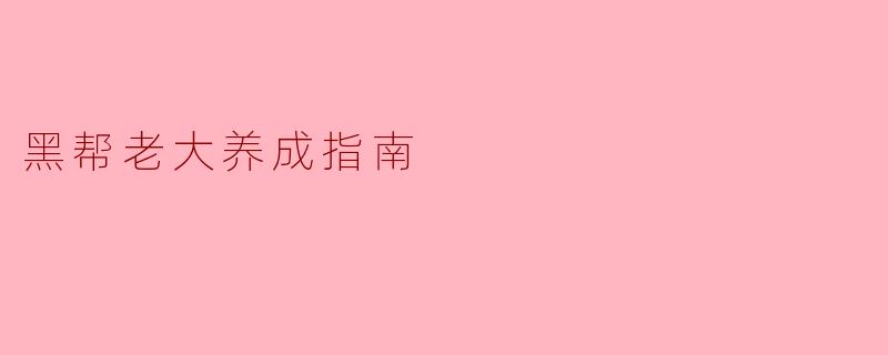 《地下法则:黑帮老大养成指南——权力、忠诚与生存的艺术》