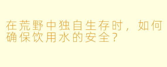 在荒野中独自生存时，如何确保饮用水的安全？