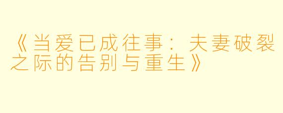《当爱已成往事：夫妻破裂之际的告别与重生》