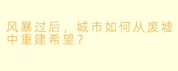 风暴过后，城市如何从废墟中重建希望？