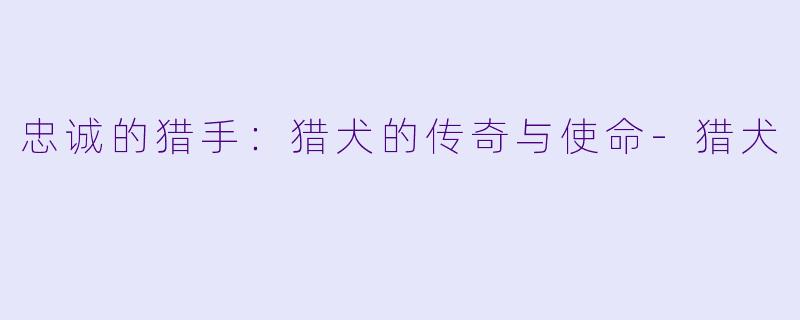 忠诚的猎手：猎犬的传奇与使命-猎犬