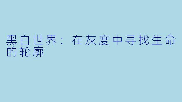 黑白世界：在灰度中寻找生命的轮廓