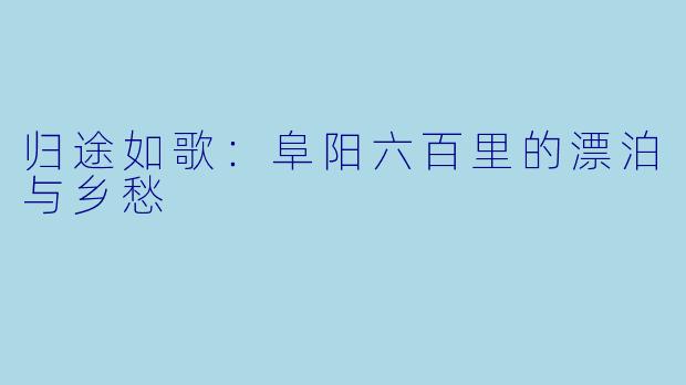 归途如歌：阜阳六百里的漂泊与乡愁