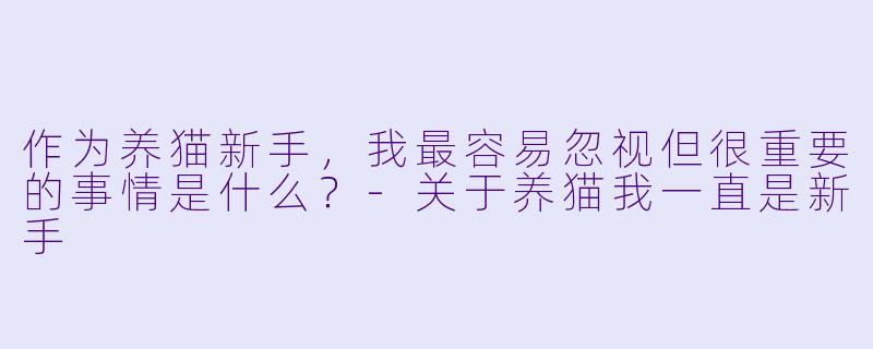作为养猫新手,我最容易忽视但很重要的事情是什么?
