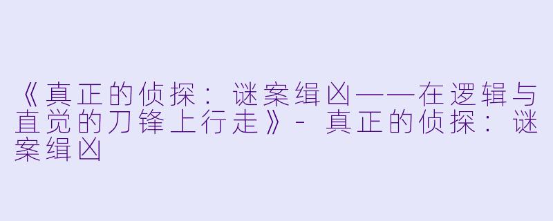《真正的侦探：谜案缉凶——在逻辑与直觉的刀锋上行走》-真正的侦探：谜案缉凶