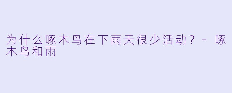 为什么啄木鸟在下雨天很少活动？