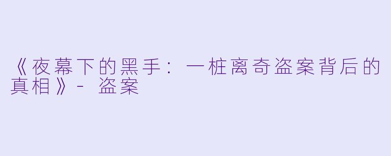 《夜幕下的黑手:一桩离奇盗案背后的真相》