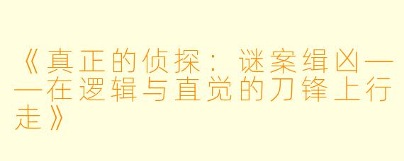 《真正的侦探：谜案缉凶——在逻辑与直觉的刀锋上行走》