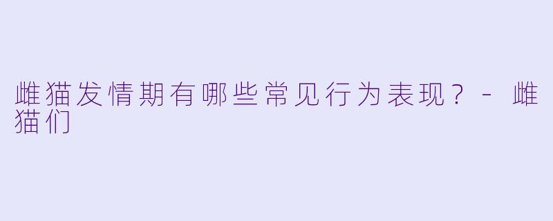 雌猫发情期有哪些常见行为表现?