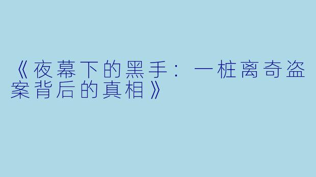 《夜幕下的黑手：一桩离奇盗案背后的真相》