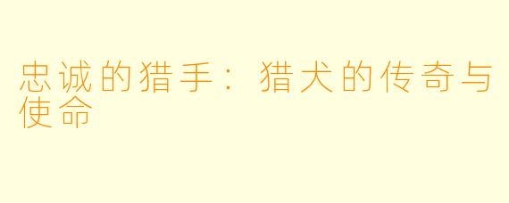 忠诚的猎手：猎犬的传奇与使命