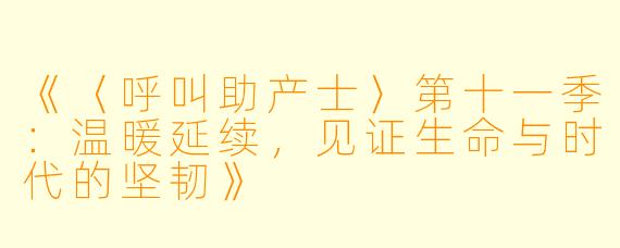 《〈呼叫助产士〉第十一季:温暖延续,见证生命与时代的坚韧》