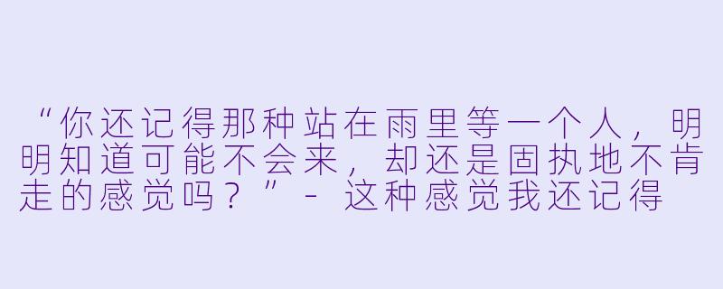 “你还记得那种站在雨里等一个人，明明知道可能不会来，却还是固执地不肯走的感觉吗？”