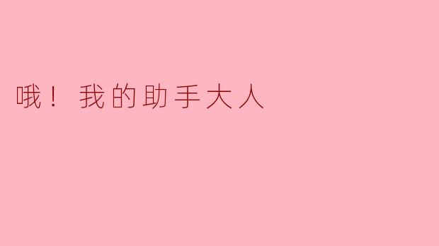 哦！我的助手大人