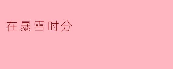 《在暴雪时分:凛冬中的温暖与救赎》