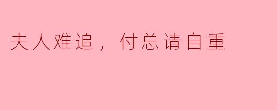 夫人难追，付总请自重