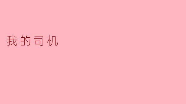 我的司机