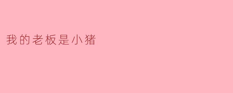 我的老板是“小猪”